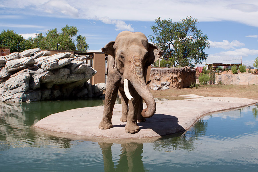 Denver Zoo