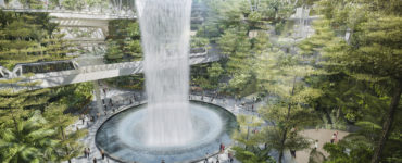 Forest view at Jewel Changi Airport