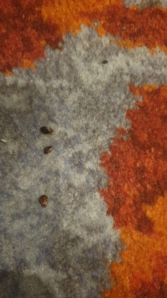 Kuala Lumpur Airport KLIA2