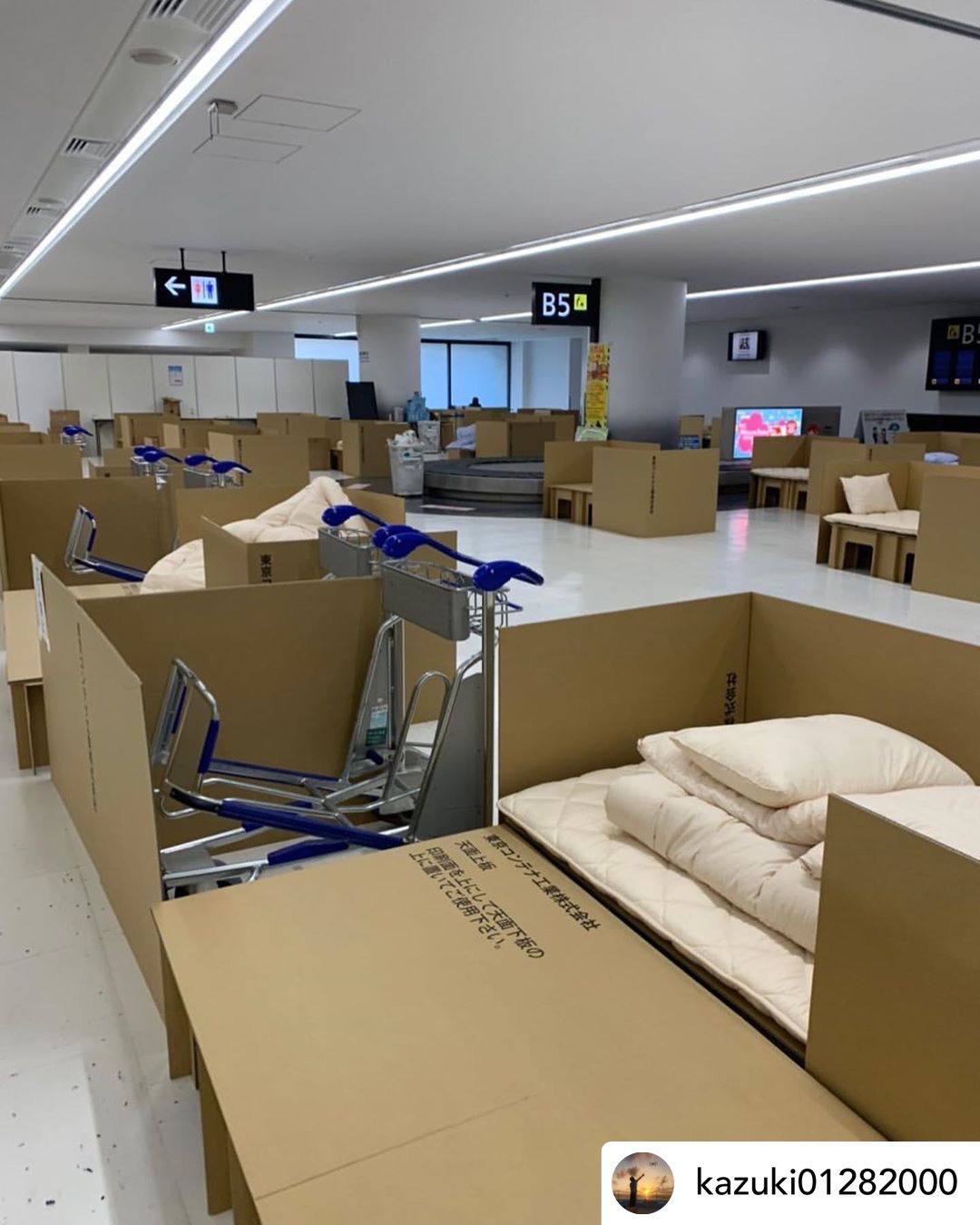 Narita Airport offers 'cardboard beds' for passengers awaiting COVID19