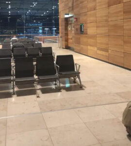 Berlin Brandenburg Airport Guide