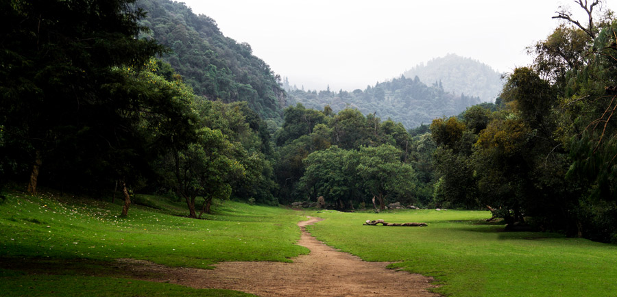 Parque Nacional Los Dinamos sightseeing