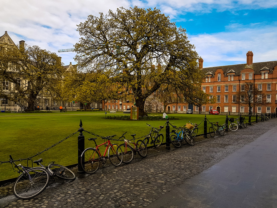 Trinity College